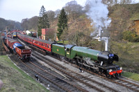 Scotsman on the Moors